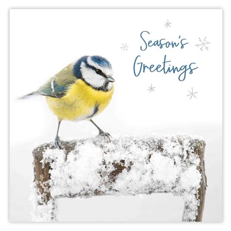 rspb christmas cards|Bird & Wildlife Greetings Cards .